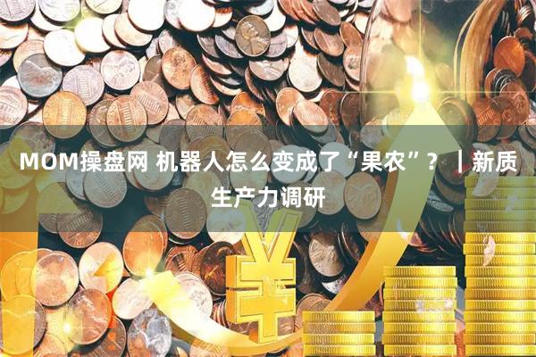 MOM操盘网 机器人怎么变成了“果农”？｜新质生产力调研