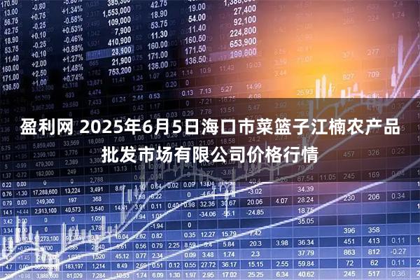 盈利网 2025年6月5日海口市菜篮子江楠农产品批发市场有限公司价格行情
