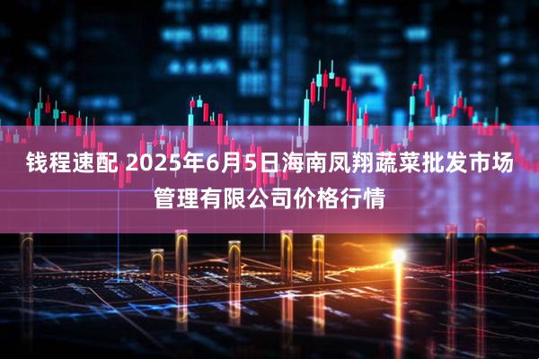 钱程速配 2025年6月5日海南凤翔蔬菜批发市场管理有限公司价格行情
