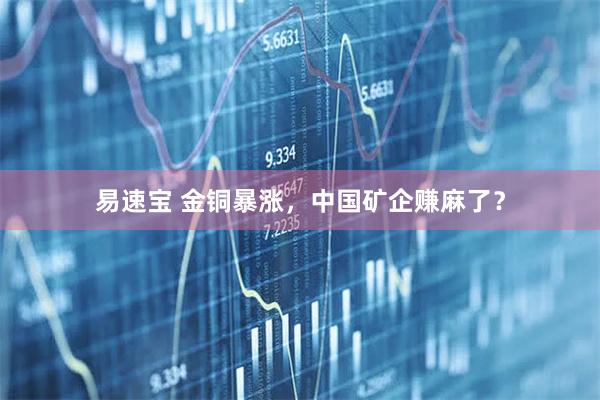 易速宝 金铜暴涨,中国矿企赚麻了?